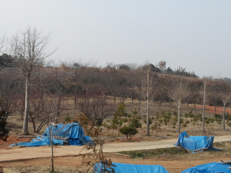 영암군, 나무은행 운영...예산절감 효과 ‘톡톡’ 이미지 1