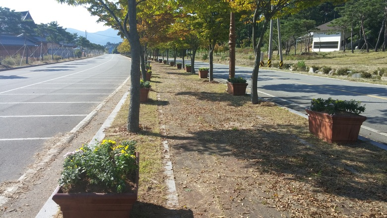 가을, 국화 향기 가득한 氣의 고장 영암 이미지 2