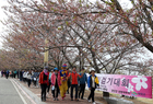 영암군, 12일 왕인문화축제 기념 건강걷기 대회 개최 
