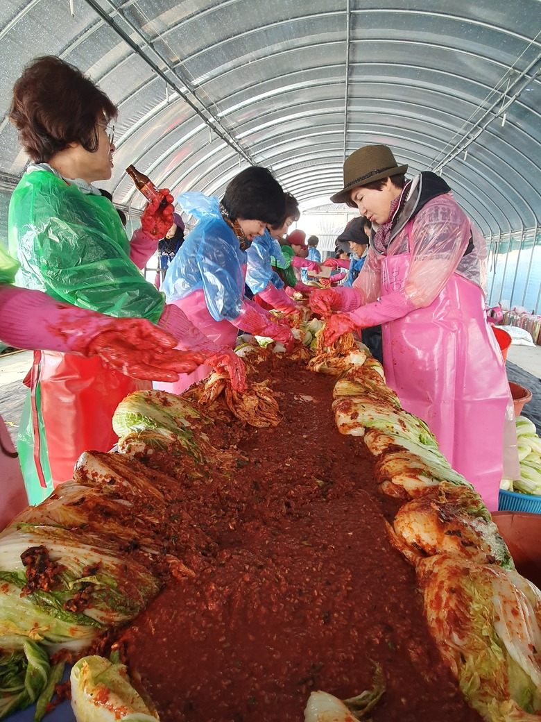 영암군, 조손가족에 따뜻한 사랑의 김장김치 전달 이미지 1