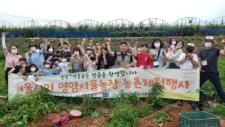 영암에서, 서울 초등학생 또 다른 식량 ! 감자와 옥수수 만나다 이미지 1