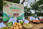 영암군드림스타트, ‘농산물 우수수 드림피크닉’ 운영