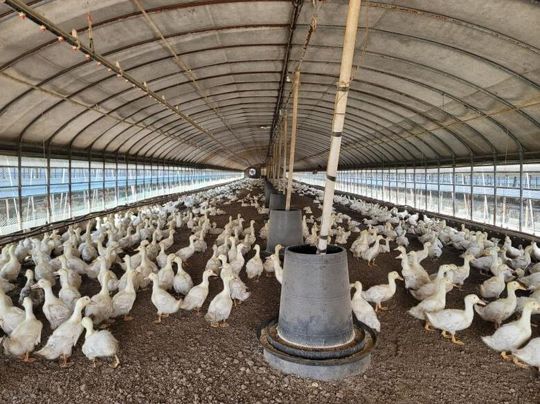 영암군, 8월까지 닭·오리 농가 방역시설 일제점검 이미지 1