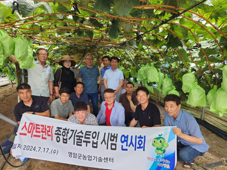 시설 과수원 포도 재배도 이젠 스마트하게  이미지 2