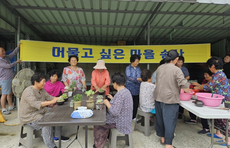 영암군 송산경로당 어르신들, 다육 화분 제작·판매한다 이미지 1