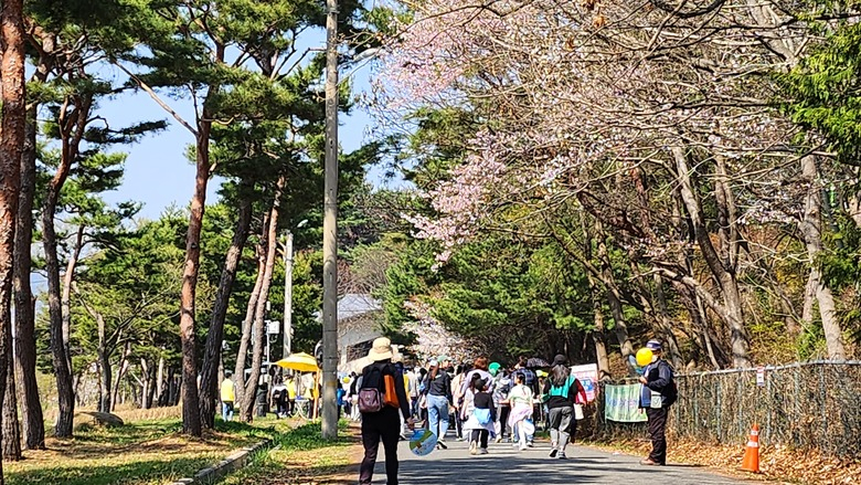 걷기로 영암사랑상품권 받고 100세까지 팔팔하게 이미지 1