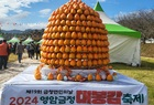 주홍빛 영암 금정대봉감 축제를 맛나게 물들이다